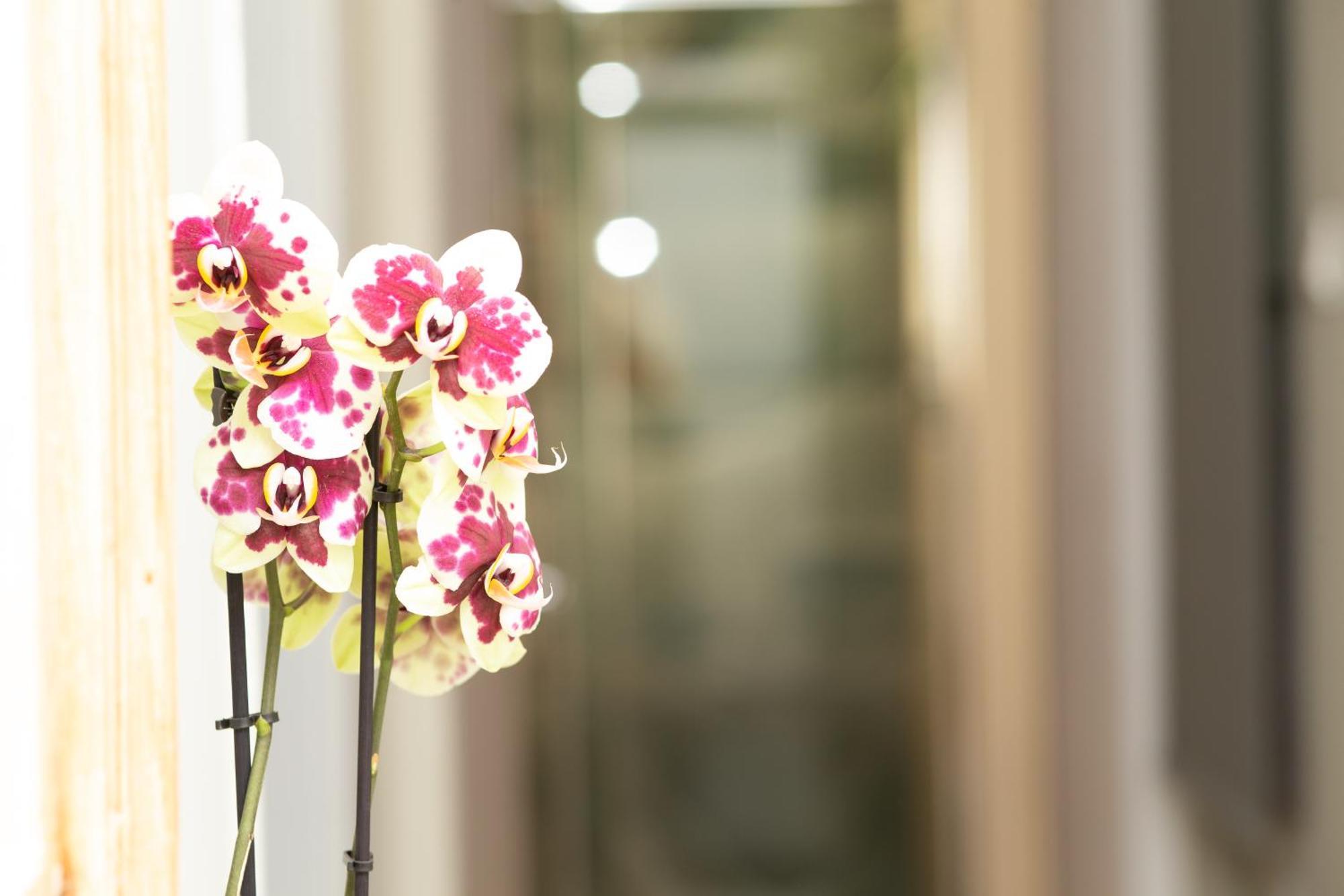 Prestige Penthouse - Breathtaking Parthenon Views In Plaka Apartment Athens Luaran gambar